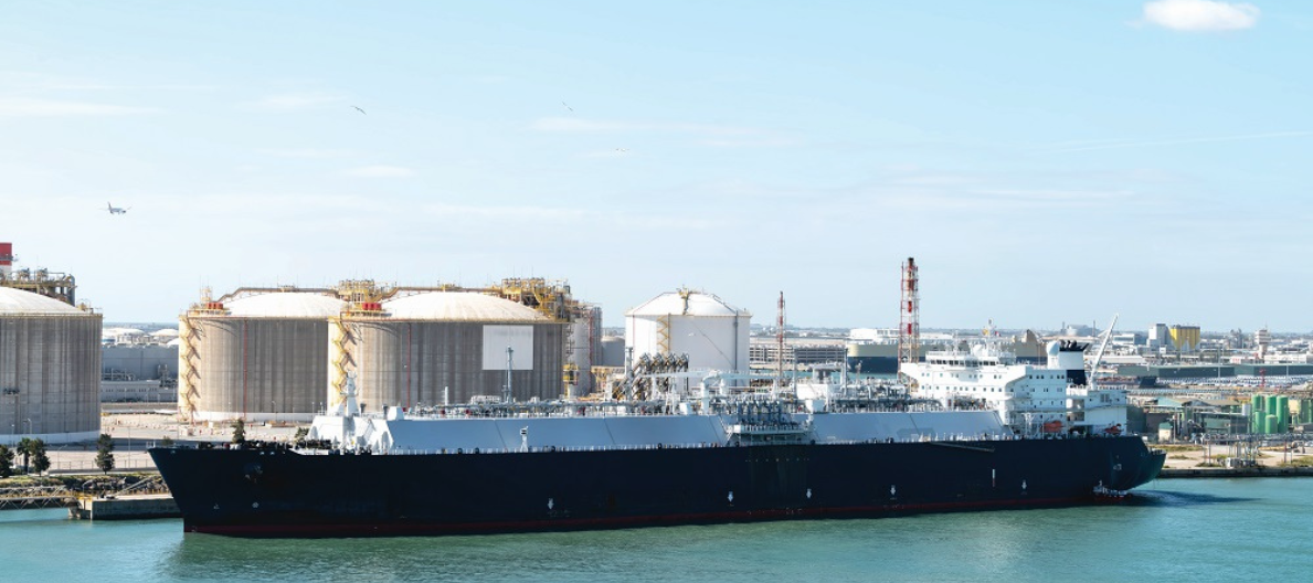 website.gallery_image 1