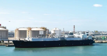 website.gallery_image